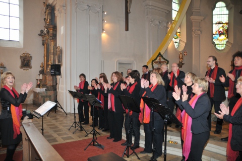 Hohengebraching-JohannesSingers-Gospelkonzert-2013-in-Aktion-1